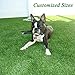 GL Premium 35mm Pile Height Artificial Grass, Realistic and Thick Fake Faux Grass Mat, Outdoor Garden Dogs Pet Synthetic Grass, Carpet Doormat Rubber Backed with Drainage Holes 4 FT x6 FT/24 Square FT