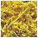 JAM PAPER Crinkle Cut Shred Tissue Paper - 2 oz - Yellow - Sold Individually