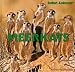 Meerkats (Safari Animals)
