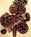 2 Pound Box Assorted Natural Pine Cones