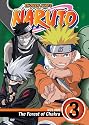 Naruto, Vol. 3: The Forest of Chakra [DVD] [2006] [Region 1] [US Import] [NTSC]