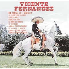 Mi Amigo El Tordillo