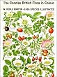 The Concise British Flora in Colour