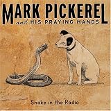 Snake in the Radio