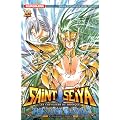 Saint Seiya - The Lost Canvas, Tome 13 :