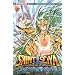 Saint Seiya - The Lost Canvas, Tome 13 :