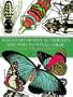 Seguy's Decorative Butterflies and Insects in Full Color (Picture Archives)