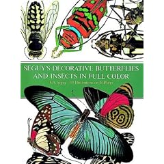 Decorative Butterflies and Insects in Full Colour (Picture Archives)