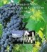 Book New World Of Wine From The Cape Of Good Hope: The Definitive Guide To The South African Wine Industry
