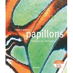 Papillons