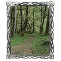 Swirl Jems Frame - Black Nickel (8x10")