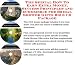 The Special How To Earn Extra Money, Success Principles and eCommerce for Bridal Shower Gifts Biz 3 CD Package