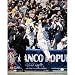 Steiner Sports MLB David Wright Dive Into the Stands Autographed 8-by-10-Inch Photograph