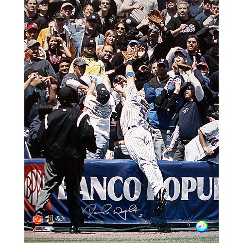 Steiner Sports MLB David Wright Dive Into the Stands Autographed 8-by-10-Inch Photograph
