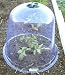 Large Garden Cloche Plant Cover (3 Pack) - Protects Vegetable Plants and Garden Flowers From Frost, Insects, Pests, and Cold Weather. Warms Ground for Early Planting. Ground Pegs Included.