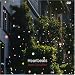 Heartbeats [DVD]
