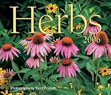 : Herbs 2006 (Calendar)