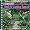 Yard & Garden Basics (Better Homes and Gardens(R): Step-By-Step Series)