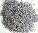 Lavender Buds - 4oz Bag of Lavender Flowers