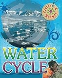 The water cycle