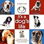 It's a Dog's Life: A Guide to Good Behaviour, Health and Pampering for Your Canine Friend