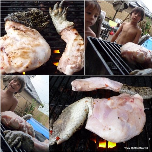 クロコダイルつめ（わにの前脚＆後脚）　ワニ肉
