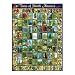 Trees of North America 1000. Piece Jigsaw Puzzle by White Mountain Puzzles