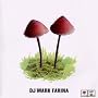 Mushroom Jazz Vol.2
