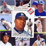 Los Angeles Dodgers Odalis Perez 20 Different Cards