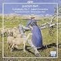 Raff: Symphony 7 / Jubel Overture