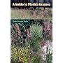 A Guide to Florida Grasses