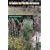A Guide to Florida Grasses
