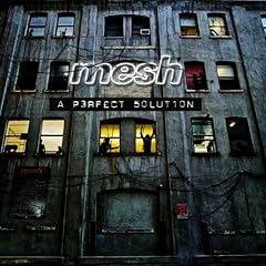 Mesh - A Perfect Solution