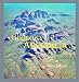 Book The Geology of Australia