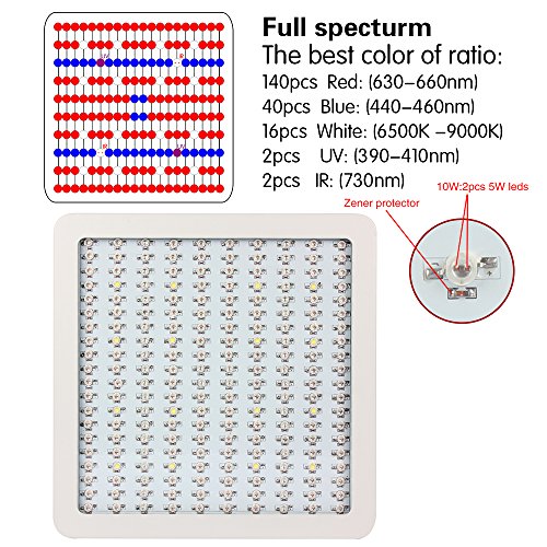 Morsen Supper Bright 2000Watt Led Grow Light 200X10 Double Chip Full Spectrum Grow Lamp for Hydroponics Indoor Plant