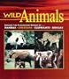 Wild Animals