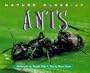 Ants (Nature Close-Up)
