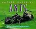 Book Ants (Nature Close-Up) (Nature Close-Up)