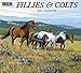 Lang 2017 Fillies & Colts Wall Calendar, 13.375 x 24 inches (17991001910)