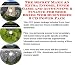 Search : The Secret Make An Extra Income, Inner Game and Accounting & Finance for Shoe Boxes Web Businesses 3 CD Power Pack
