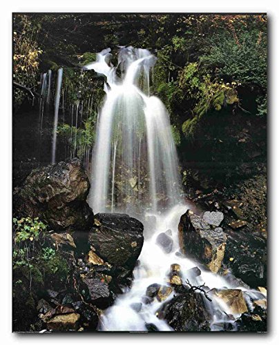 Waterfall and Stream in The Tropical Forest Scenery Wall Decor Art Print Poster (16x20)