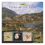 Tarns of the Fells : celebrating Cumbria's mountain landscapes
