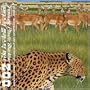 Zoo