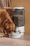 Ergo Auto Pet Feeder, Large