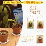 トロピカルフルーツ栽培3点セット TROPICAL GARDEN！