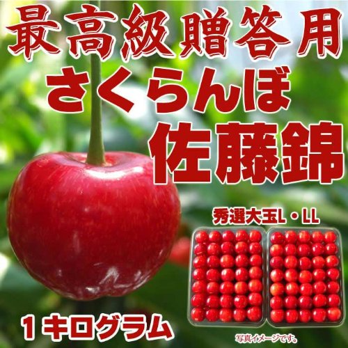 ご予約受付開始！【贈答用・大粒】山形県東根産秀選さくらんぼ佐藤錦Ｌ・ＬＬ１キログラム　6月中旬～7月上旬出荷予定《クール便発送》