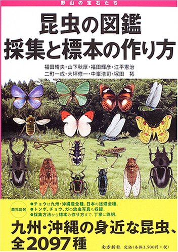 昆虫の図鑑採集と標本の作り方―野山の宝石たち