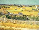 Vegetable Garden art print 24x30cm by Vincent Van Gogh
