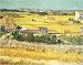 Vegetable Garden art print by Vincent Van Gogh