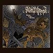 Dawn of the 5th Era by MORS PRINCIPIUM EST (2014-12-02)【並行輸入品】